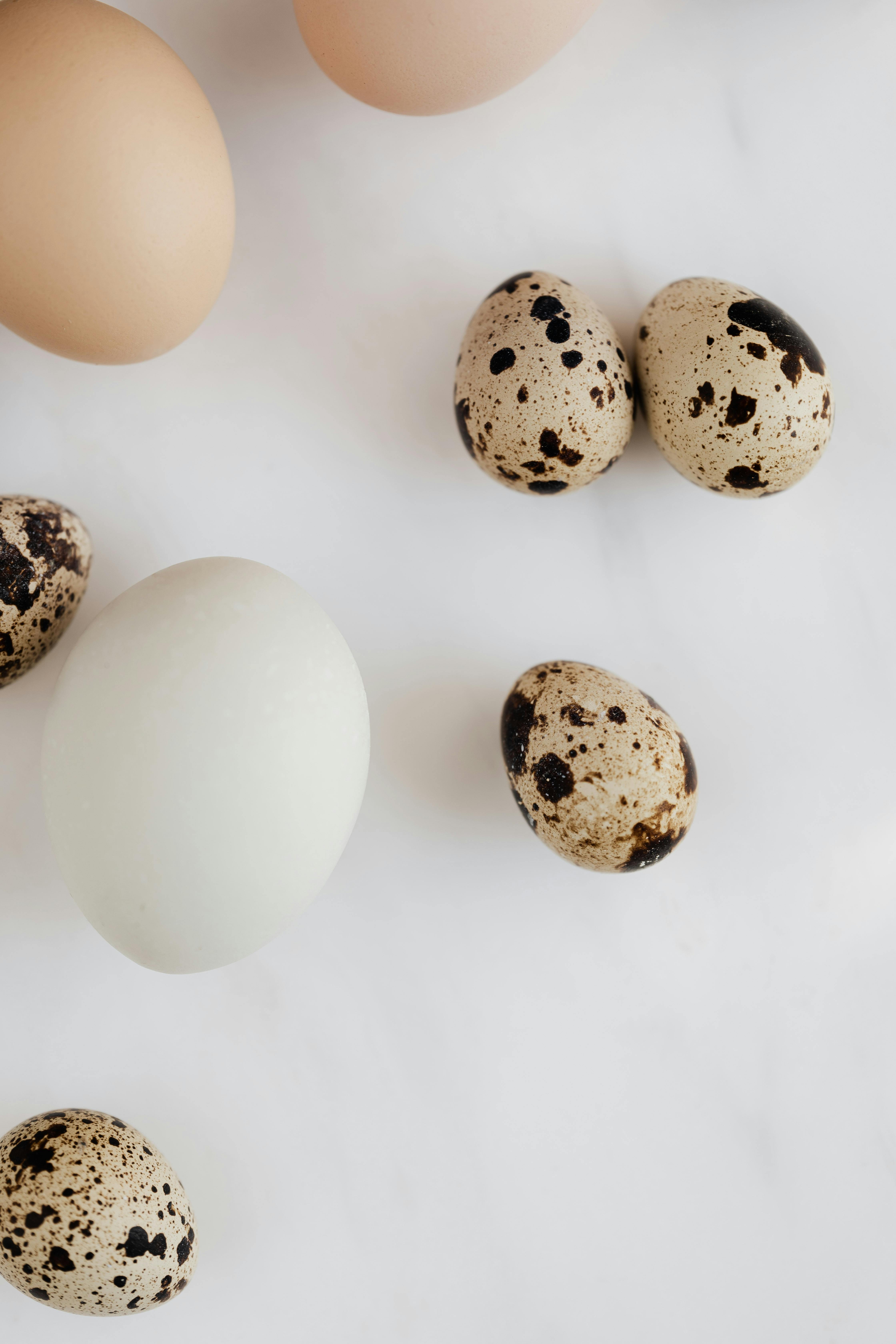 Essential Guide to Keto Deviled Eggs for 2025 Success