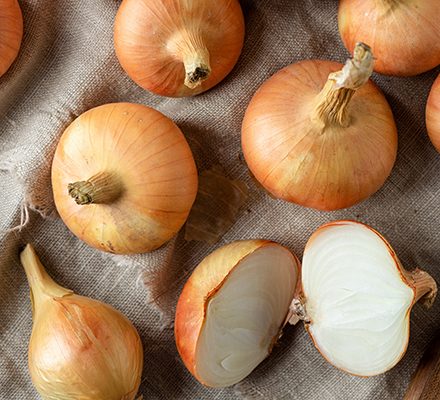 Onions and keto diet