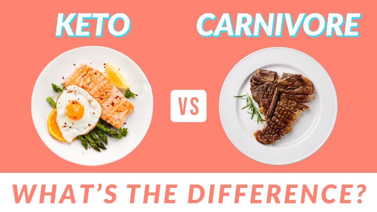 Carnivore Diet vs Keto