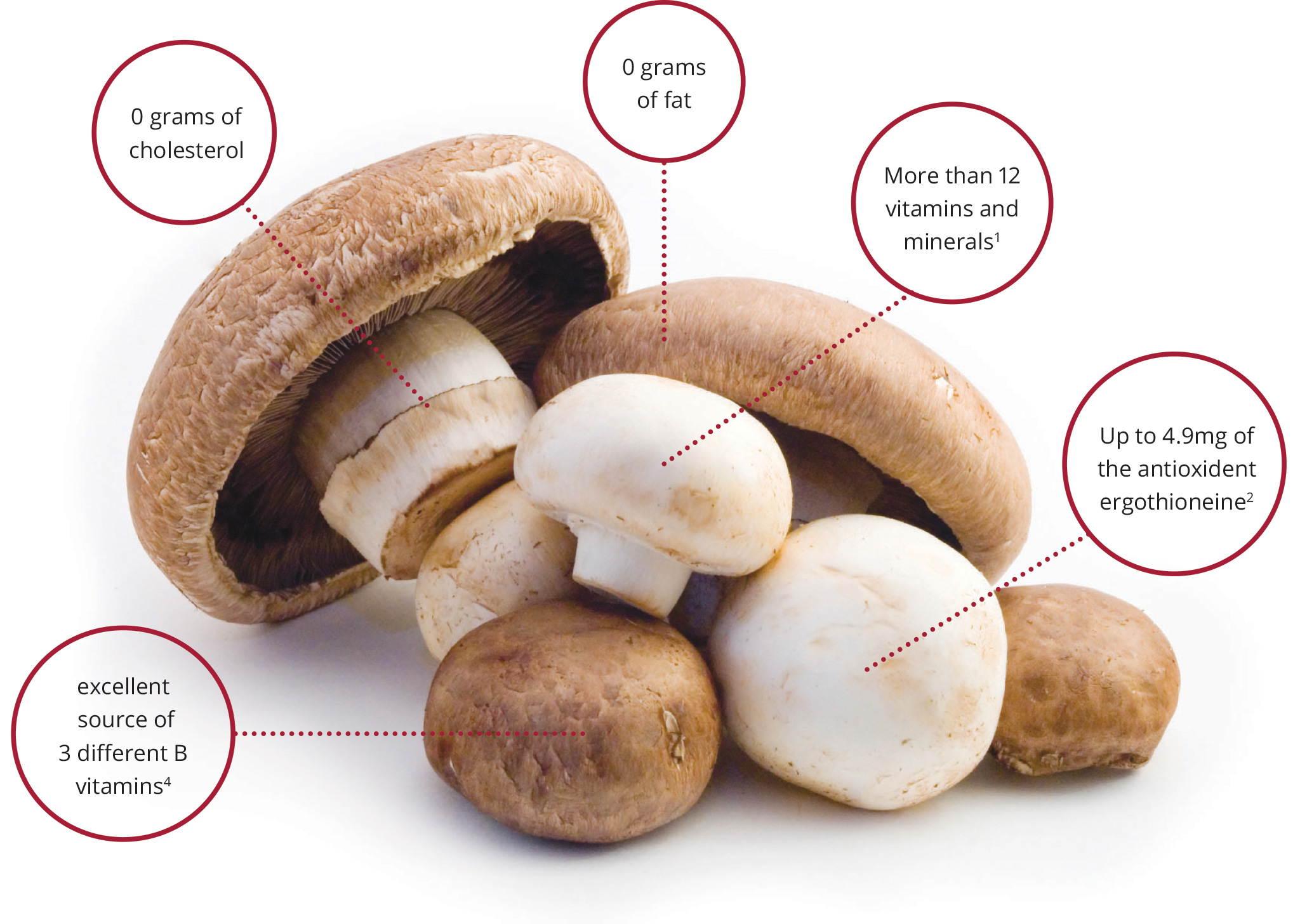 Are Mushrooms Keto Friendly